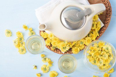 热菊花茶