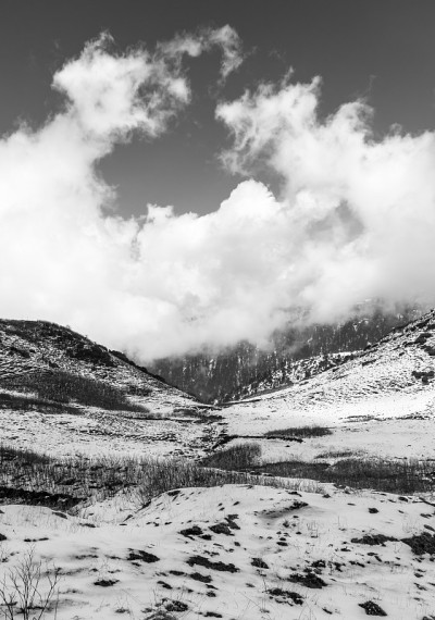 山