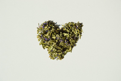 喜欢锦葵花草茶