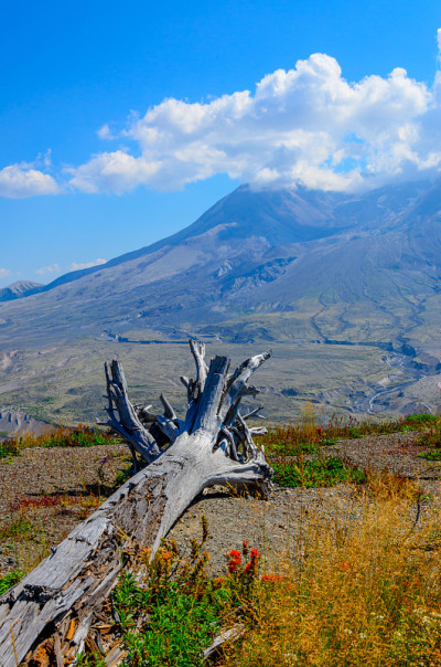太圣海伦斯火山