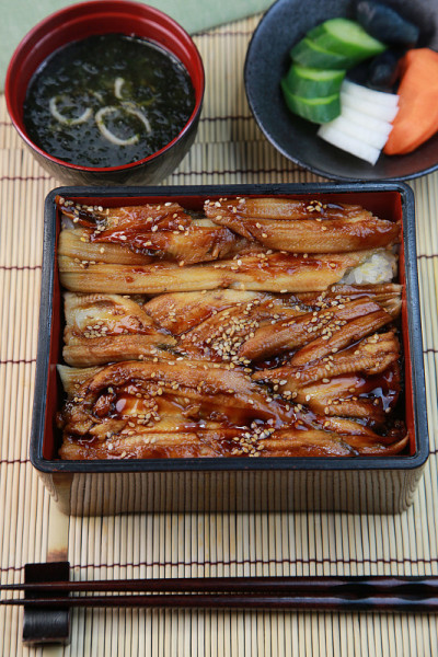 康吉鳗