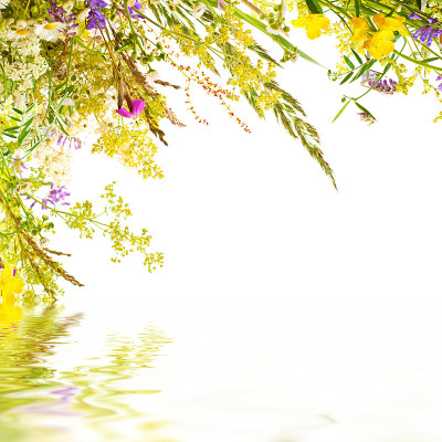 花卉复活节背景