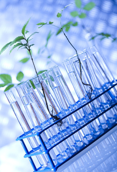 生物技术、化学实验室玻璃器皿