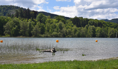 Schliersee，巴伐利亚，德国，湖，水