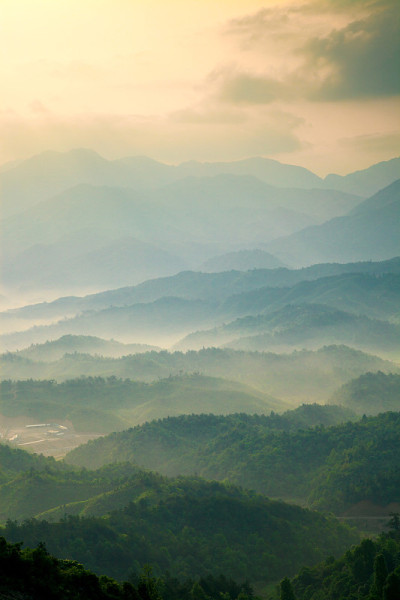 山在雾