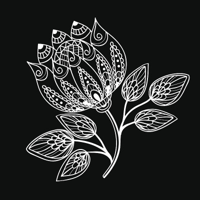 美丽的黑白花和叶孤立。