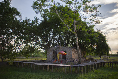 古金佛在教堂，古寺是佛塔寺，有200年的历史，外面覆盖着榕树根