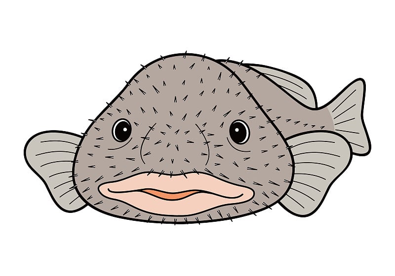 Blobfish Nyudoukadica深海鱼角色矢量插图