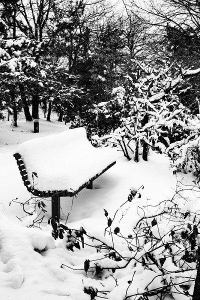 暴风雪2021