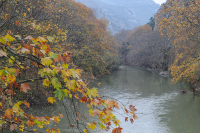 河Pinios