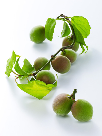 李子