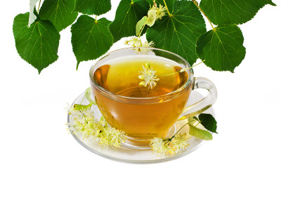 菩提花茶杯里的菩提花茶