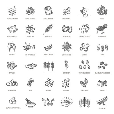 植物种子矢量图标集