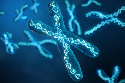 3D插图x染色体与携带遗传密码的DNA。遗传学概念，医学概念。未来,基因突变。在生物层面改变遗传密码