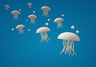 动物