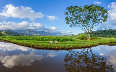 考艾岛哈纳莱山谷全景