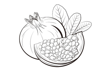 石榴和石榴籽矢量插图