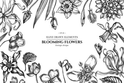 花型设计有黑白依兰，凤仙花，水仙，底格里布，荷花，aquilegia