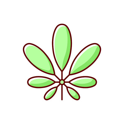 谢夫莱拉RGB彩色图标