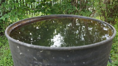 花园里的一桶水