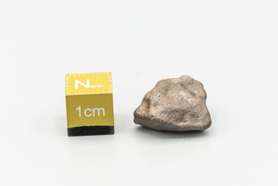 Chondrite Meteorite L Type isolated, a piece of ro