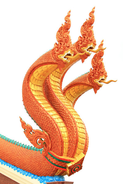 那加的雕像国王