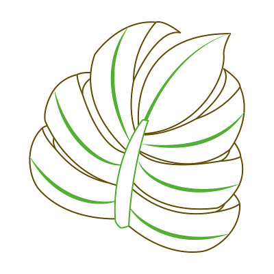 热带棕榈叶丛林花卉图标