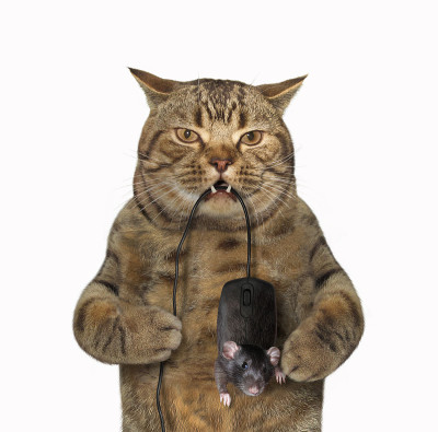 猫抓电脑鼠标
