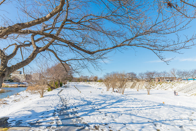 公园里有白雪