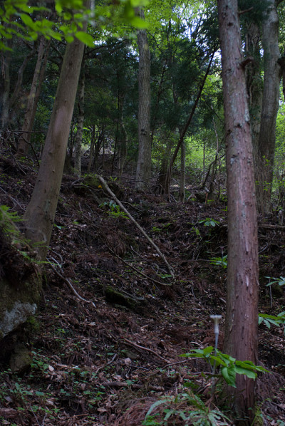 日本神奈川县大山