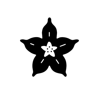 杨桃切面剪影图标。黑色手绘插图