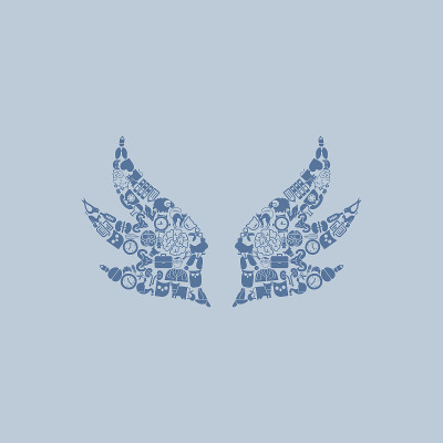 翼图标