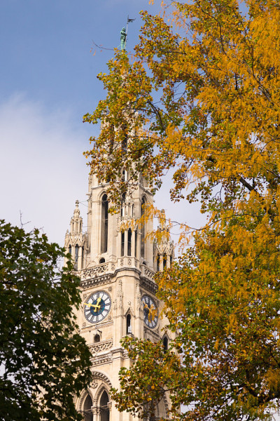 奥地利维也纳的Rathaus
