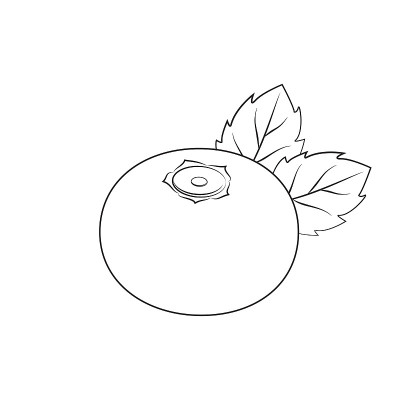 蓝莓插图