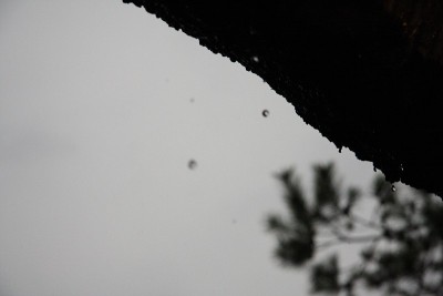 雨