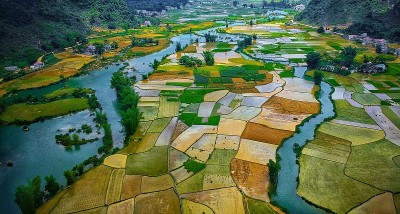 越南的Ngoc Con稻田