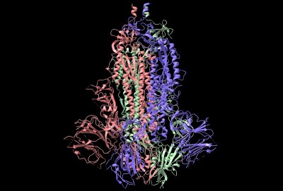SARS-CoV-2刺突糖蛋白的结构