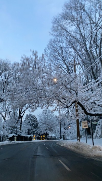 长岛的雪