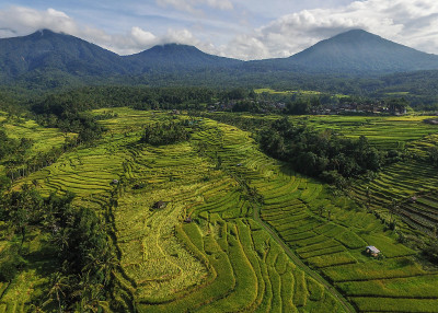Jatiluwih和Batukaru Bali山的风景。