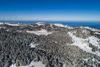 冬季和雪景