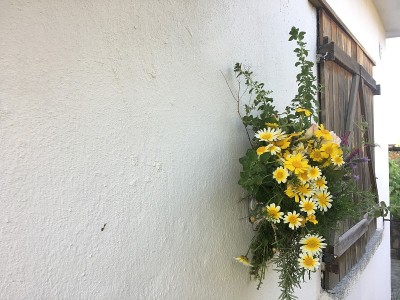 野春花花束