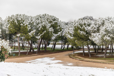 由于2021年1月的菲洛梅娜风暴，马德里的街道和公园被大雪覆盖