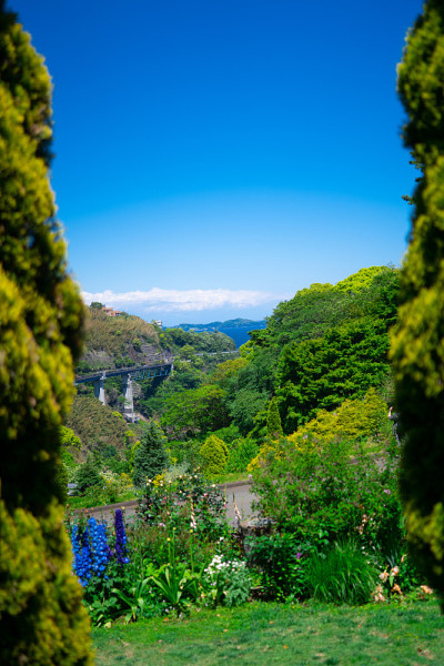 热海市的海景和鲜花