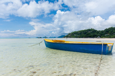船停泊在浅滩上