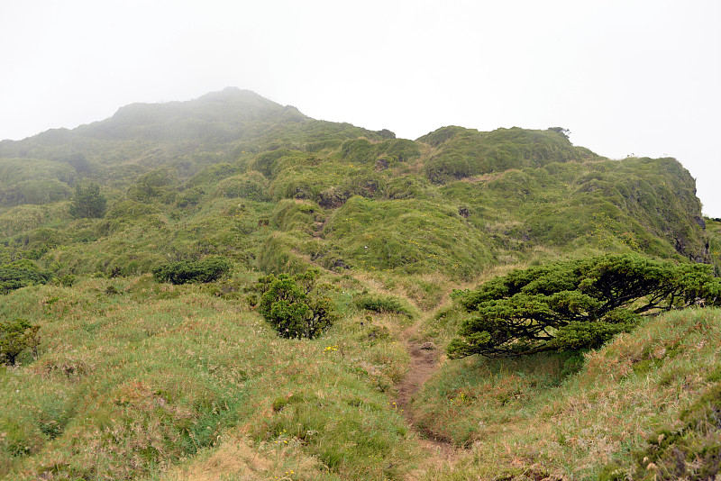 徒步游览“pico da vara”(在亚速尔群岛徒步旅行)