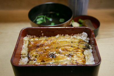 鳗鱼和大米在漆盒高品质的日本食品