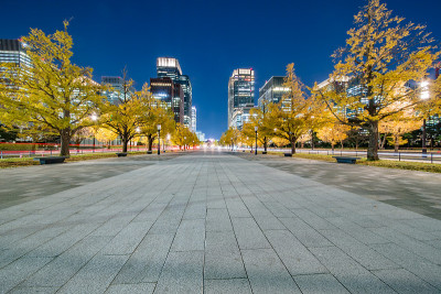城市银杏树和城市建筑