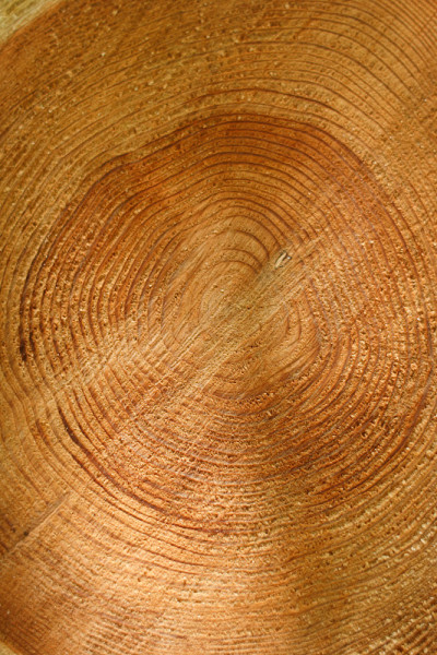 log3