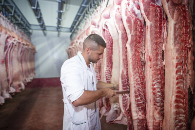 屠宰新鲜生肉的屠夫。在食品加工厂切猪肉的工人。