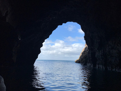海海
